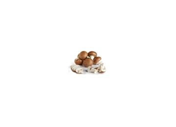 Champignons frisch