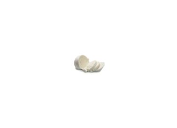 Mozzarella